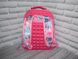 Школьный Рюкзак с Массажной Спинкой 3-D Рисунок Frozen Розовый